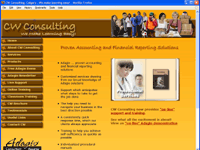 CW Consulting Web